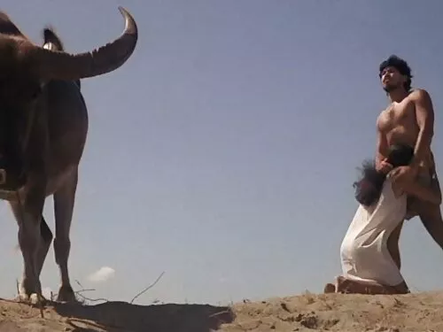 அழகான பொன்னிறம் குத  ...